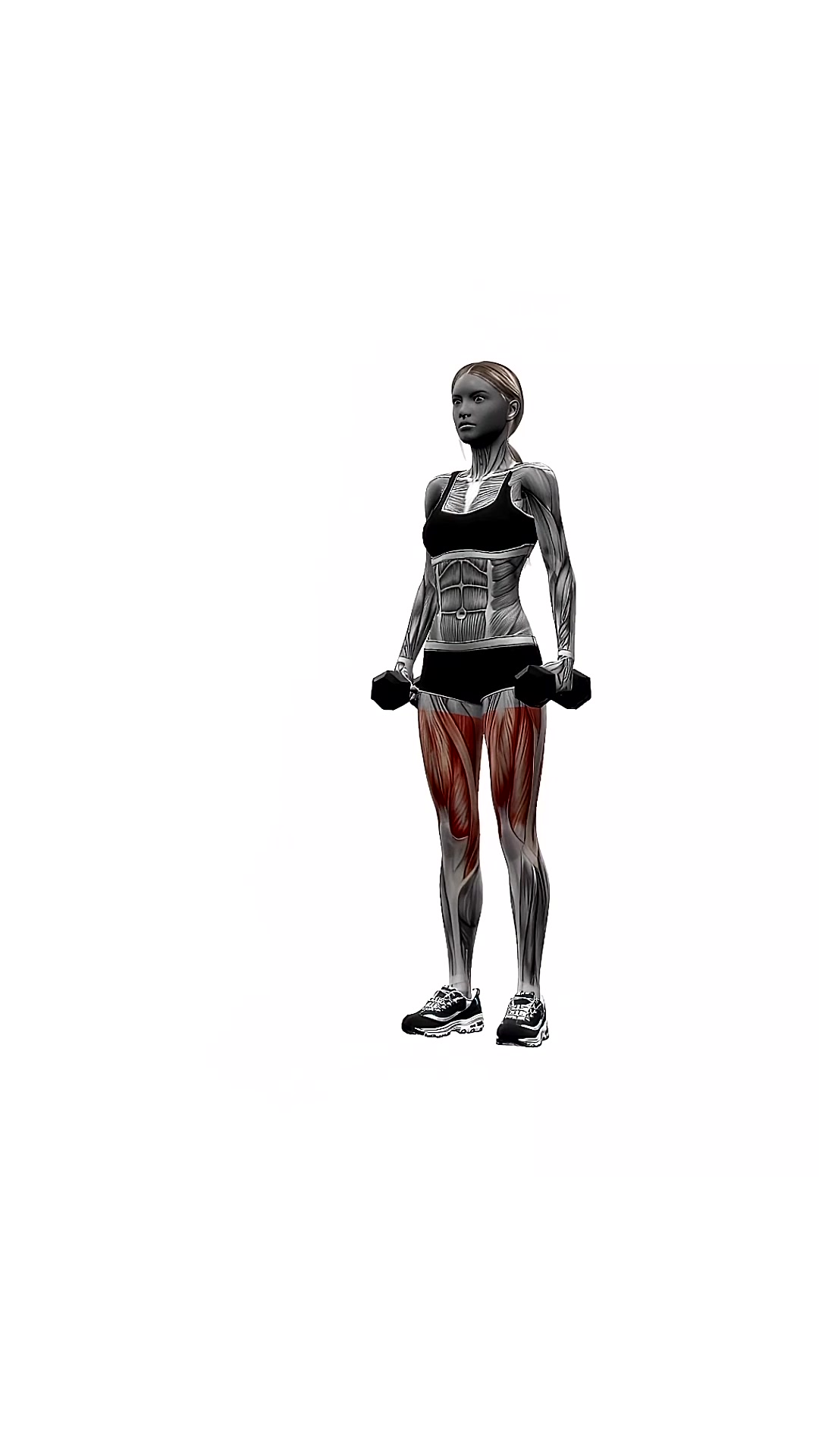 Dumbbell Lunge Pulse