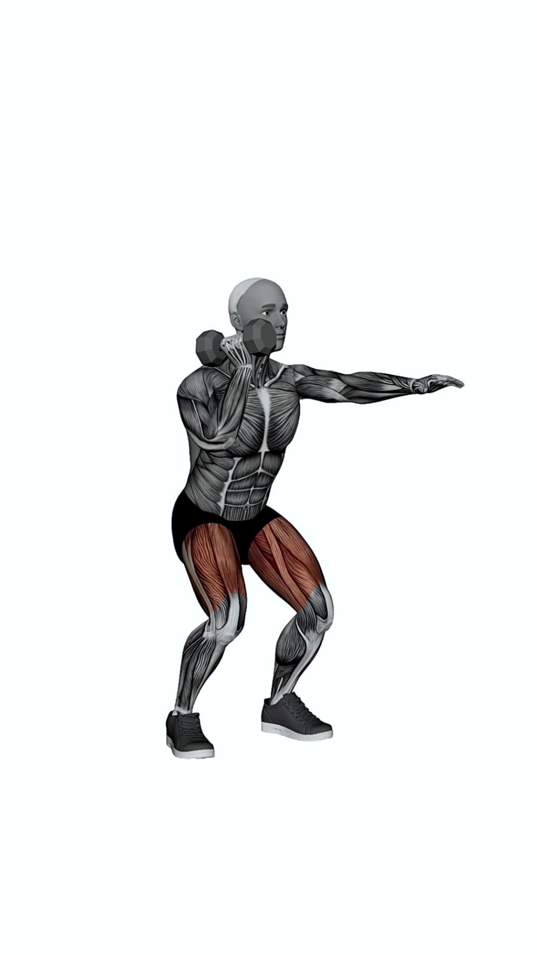 Dumbbell Offset Squat