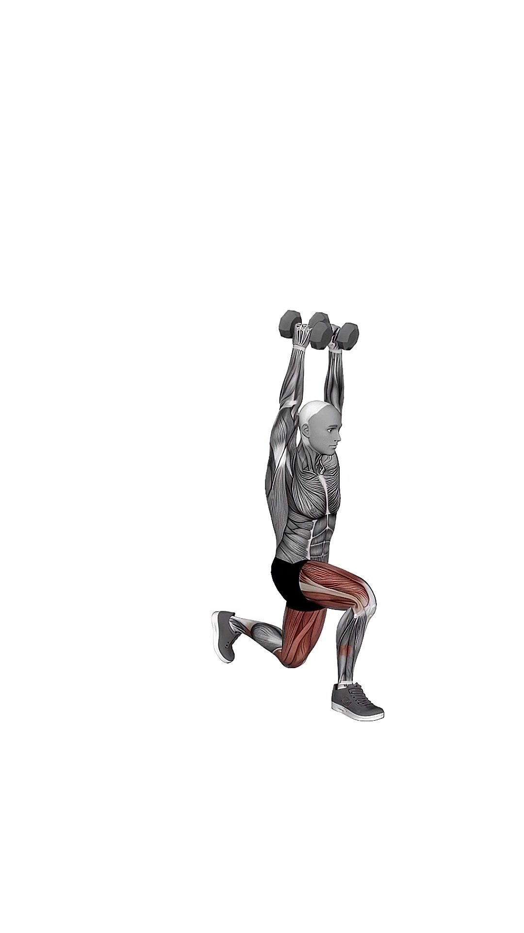 Dumbbell Overhead Lunge