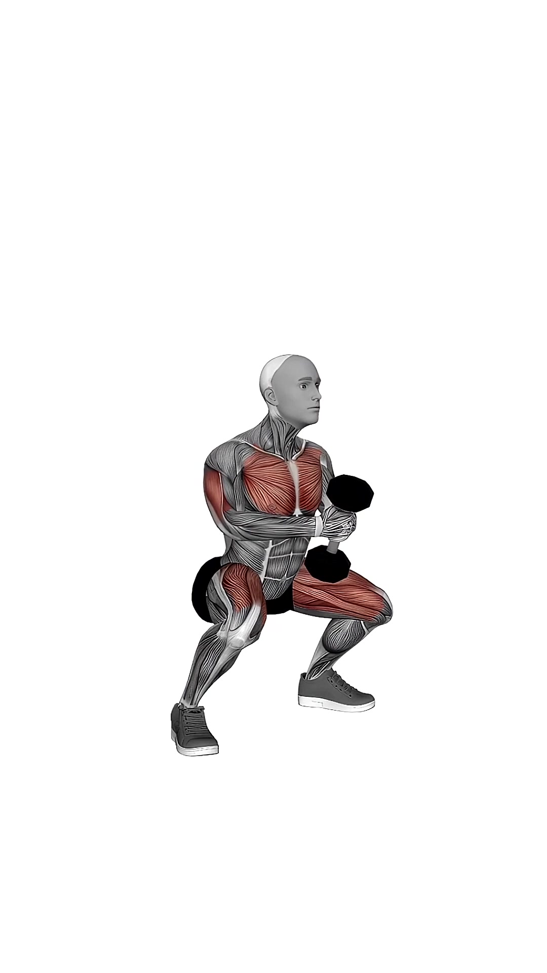 Dumbbell Press Squat