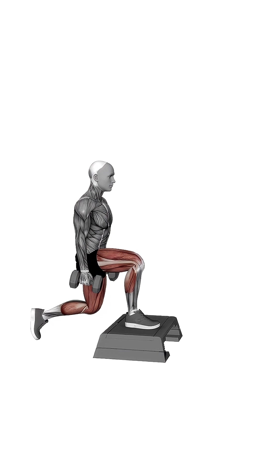 Dumbbell Rear Lunge From Step