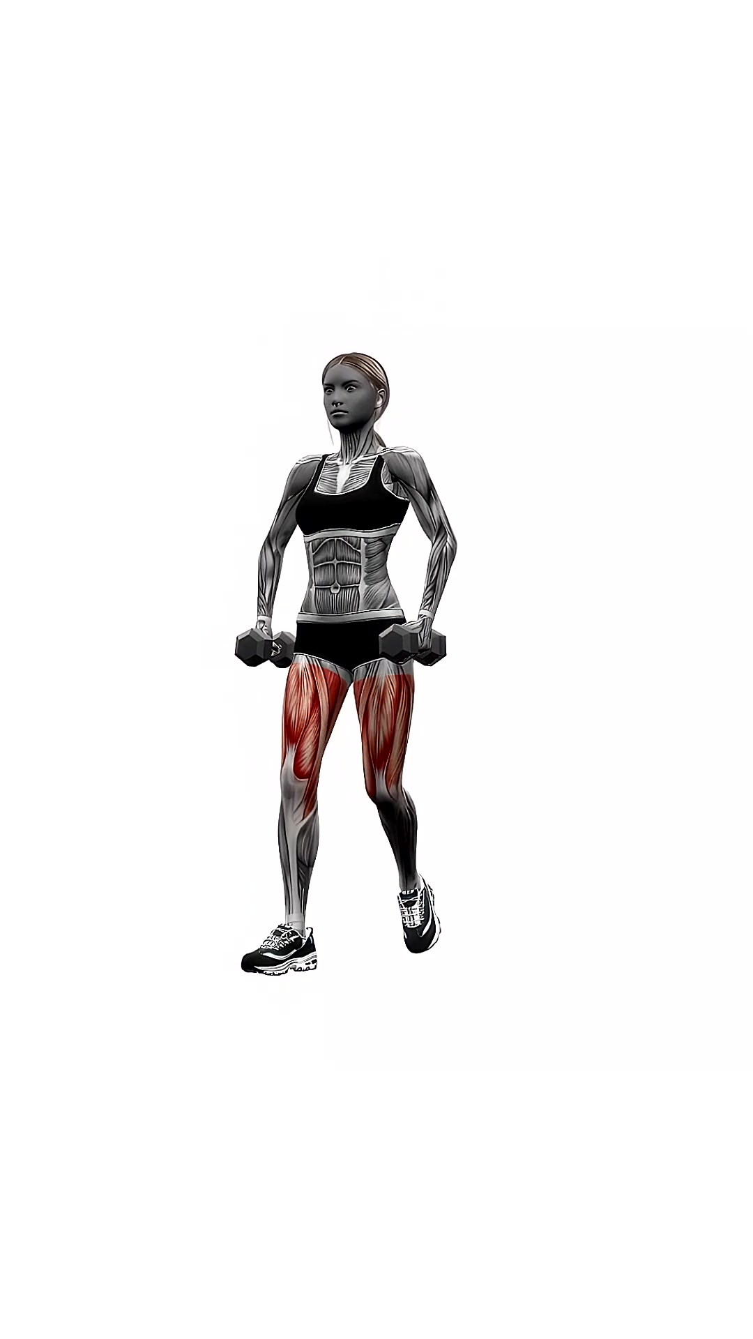 Dumbbell Reverse Lunges Pulses
