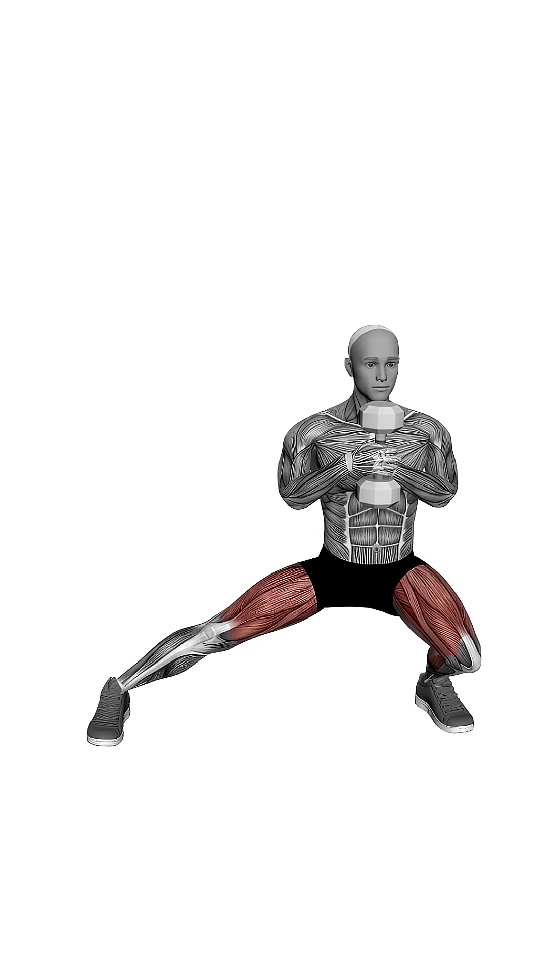 Dumbbell Side Lunge Single Leg