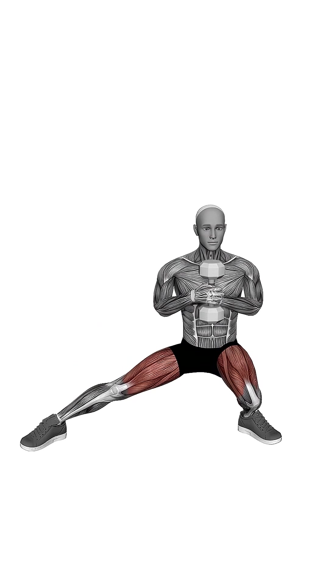 Dumbbell Side Squat Side To Side