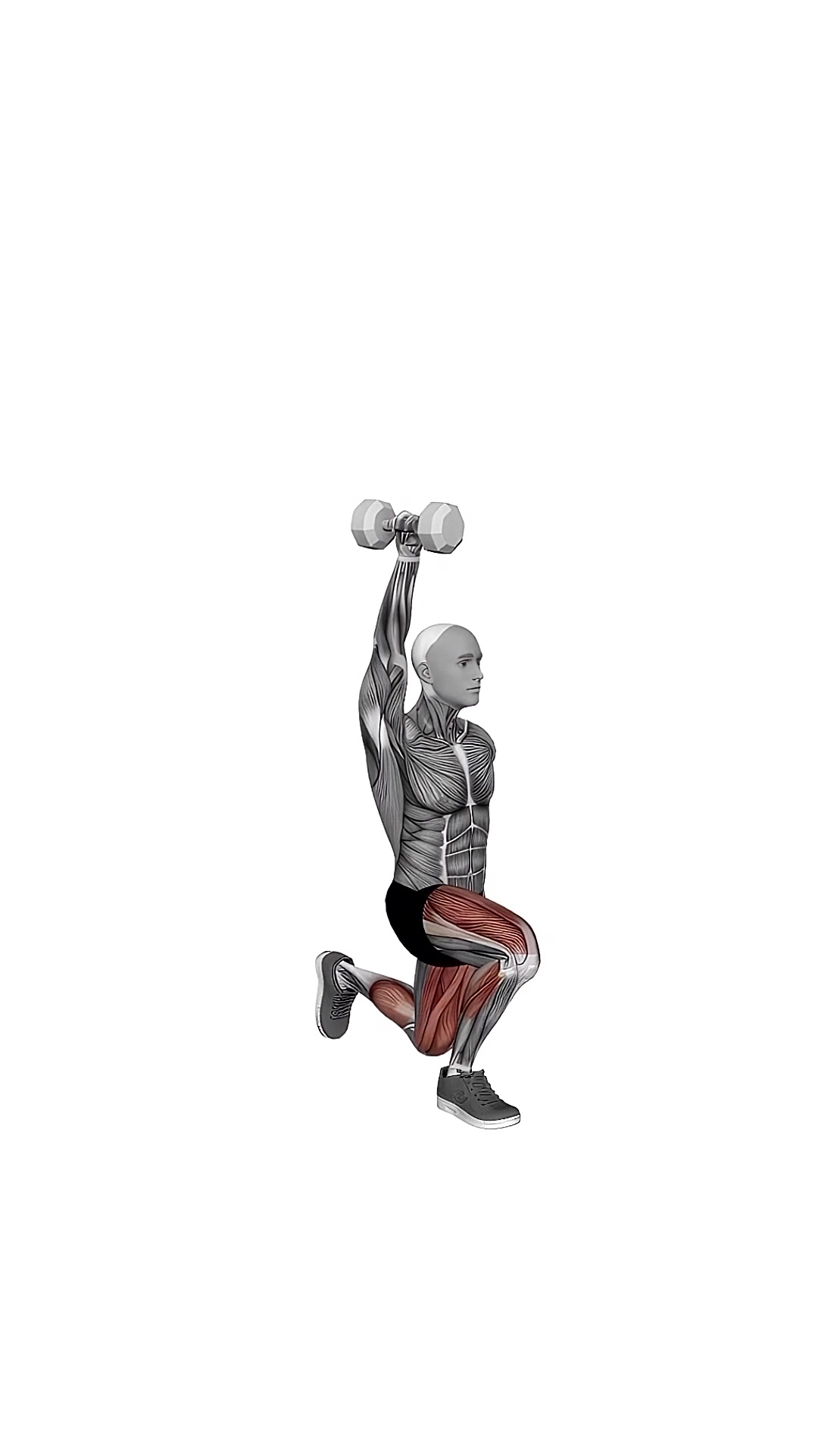 Dumbbell Single Arm Overhead Lunge