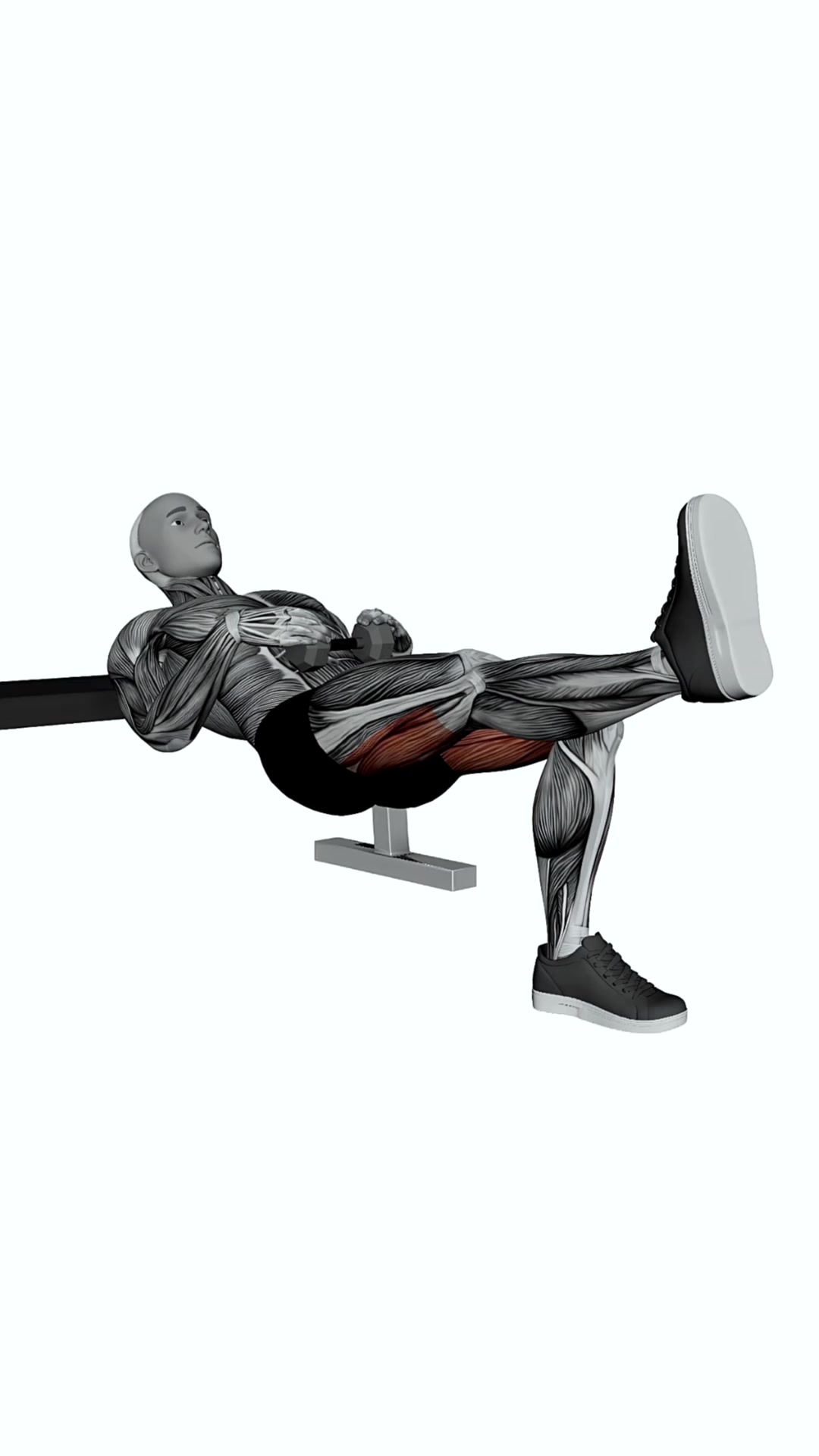 Dumbbell Single Leg Hip Thrust