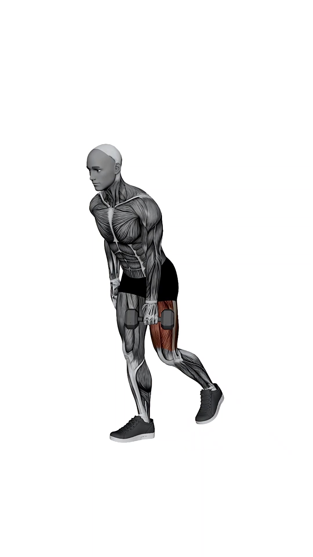 Dumbbell Single Leg Single Arm Deadlift