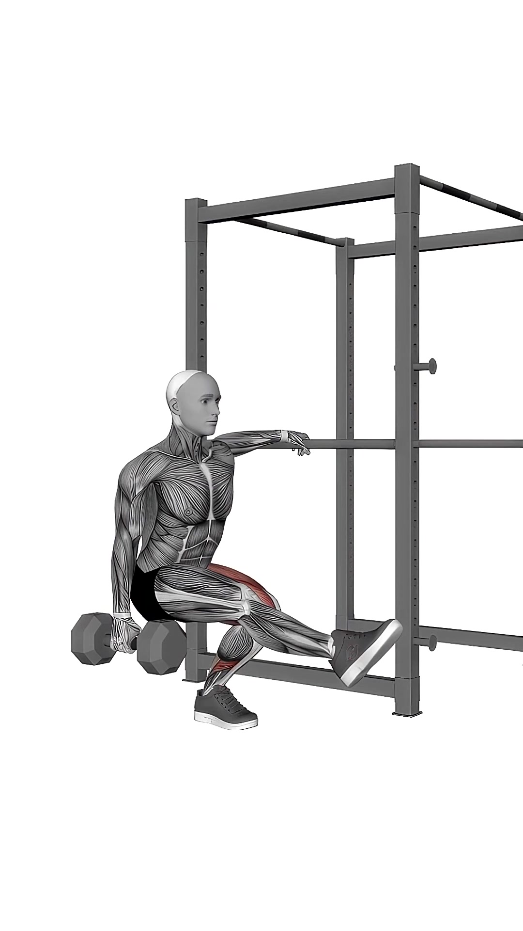 Dumbbell Single Leg Squat With Support (pistol)