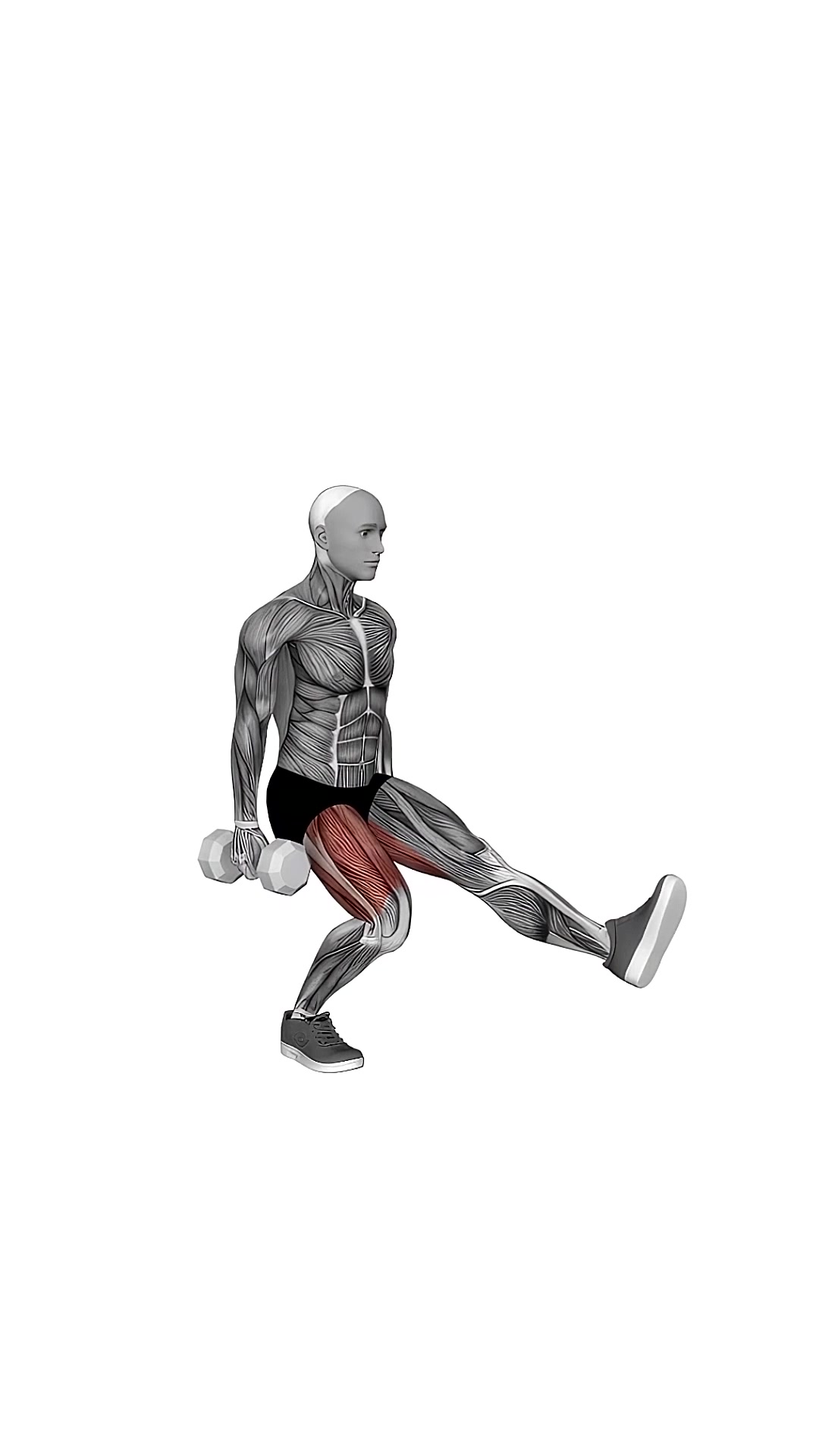 Dumbbell Single Leg Squat