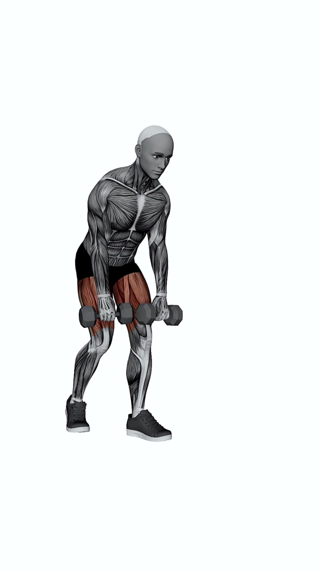 Dumbbell Staggered Deadlift