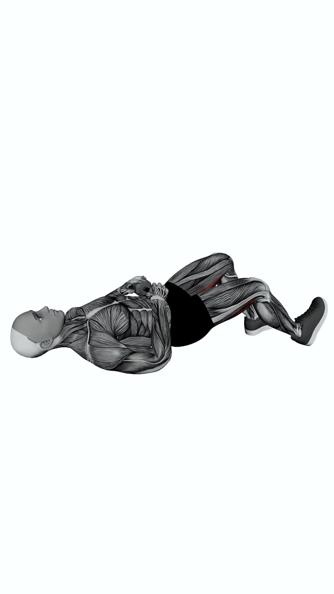 Dumbbell Staggered Glute Bridge