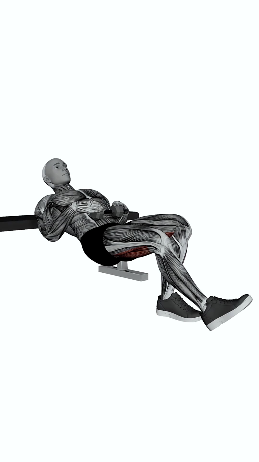 Dumbbell Staggered Hip Thrust