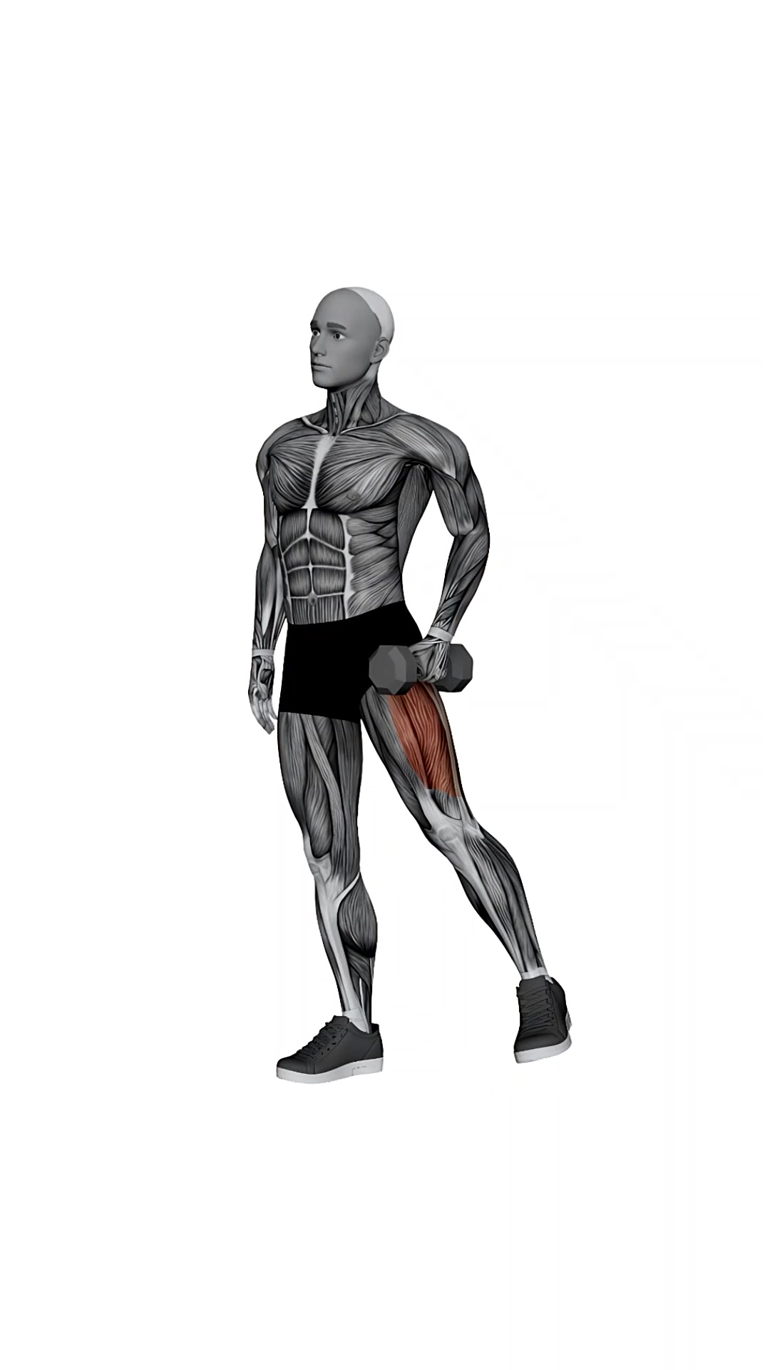 Dumbbell Standing Hip Abduction