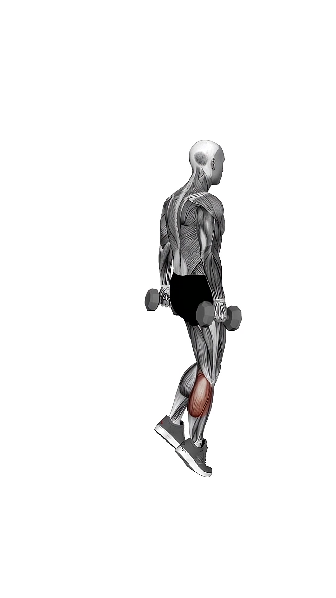 Dumbbell Standing Single Leg Calf Raise