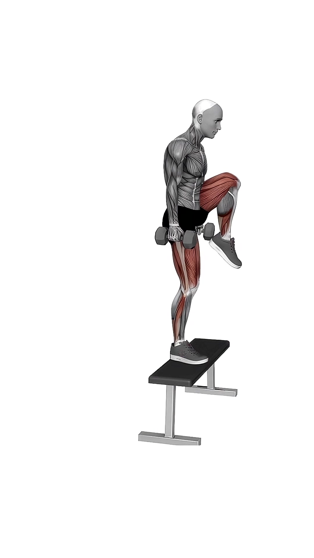 Dumbbell Step-up With Knee Raise
