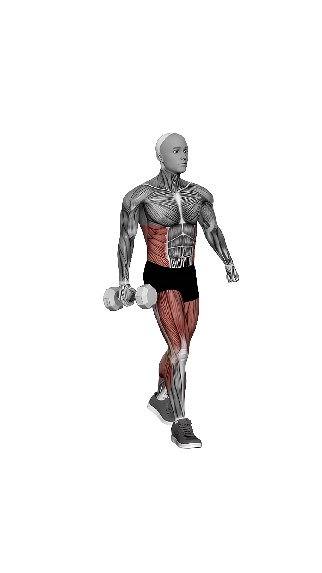 Dumbbell Suitcase Carry