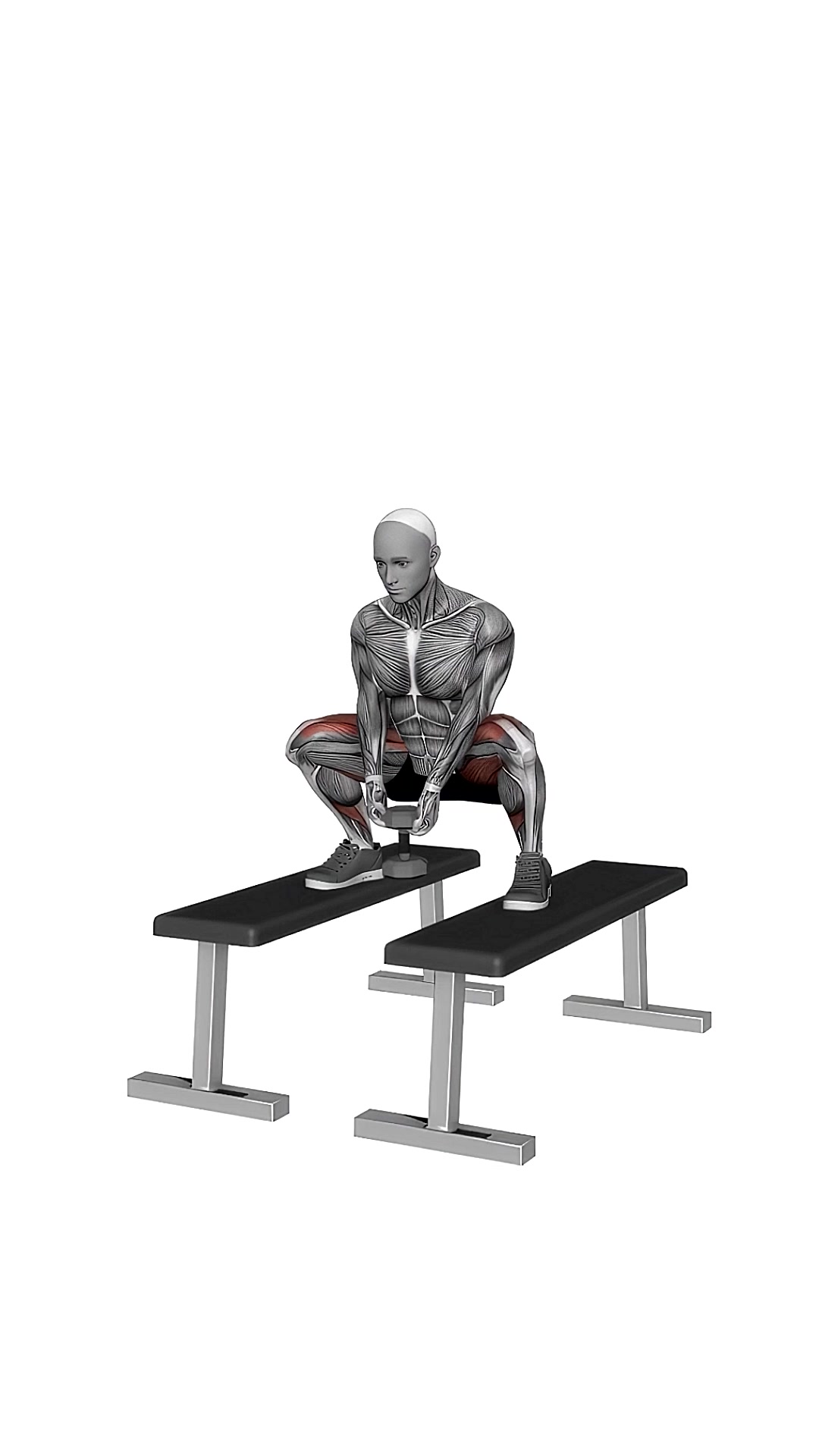 Dumbbell Sumo Squat Off Benches