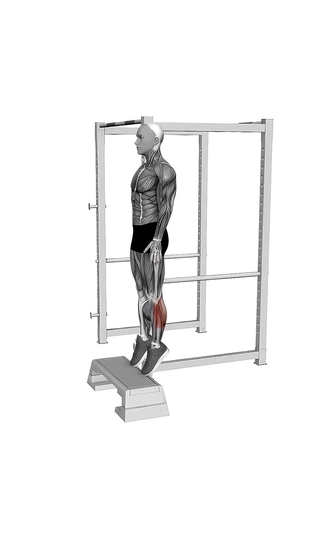 Elevated Standing Calf Raise