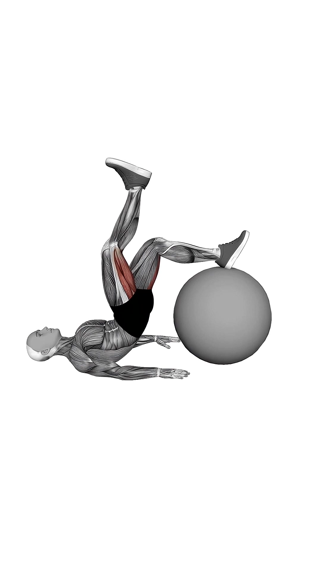 Exercise Ball One Legged Diagonal Kick Hamstring Curl
