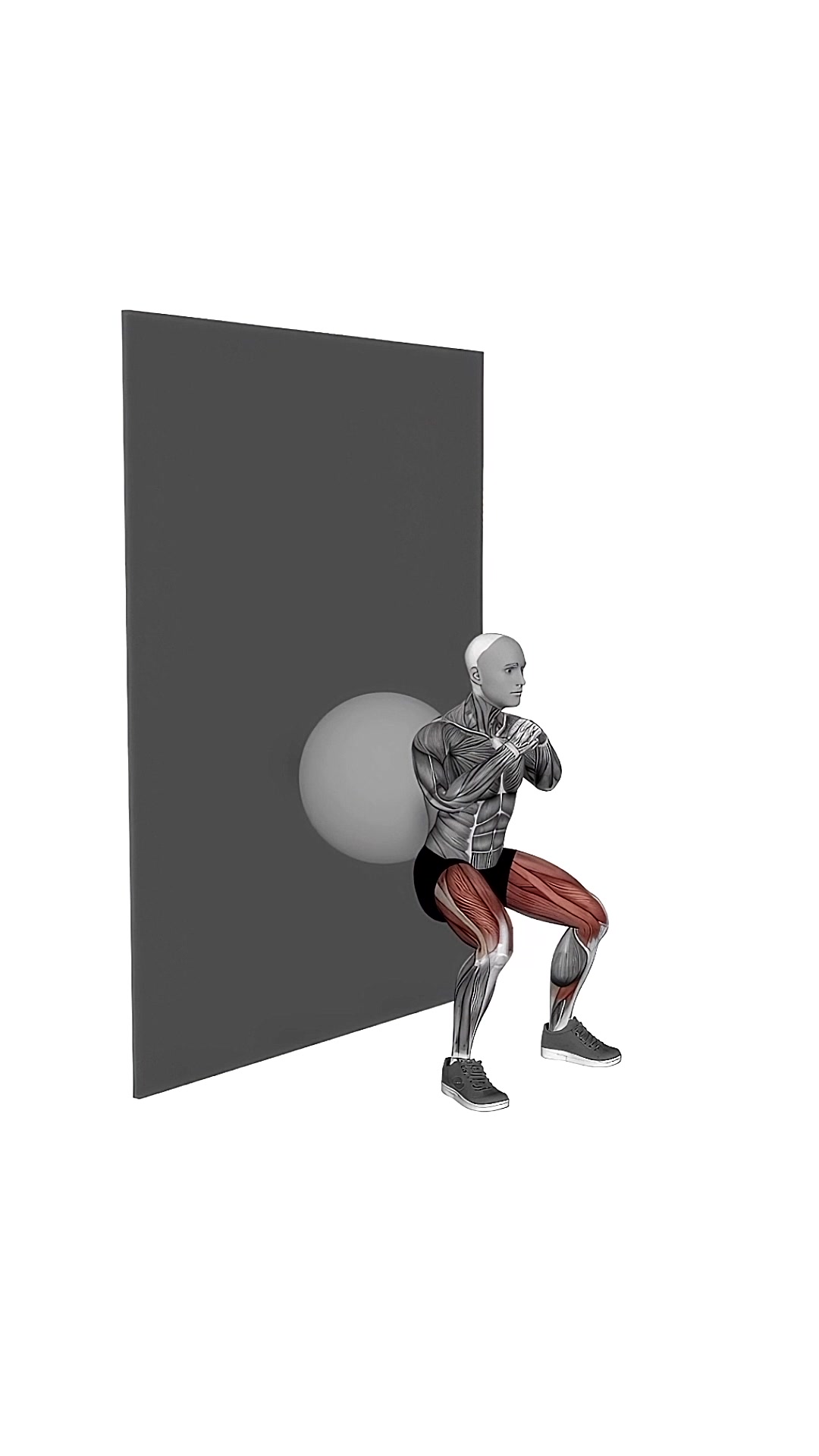 Exercise Ball Wall Squat