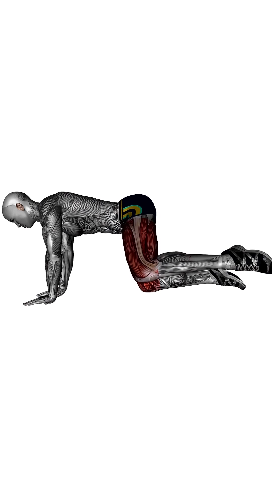 Fire Hydrant Bodyweight
