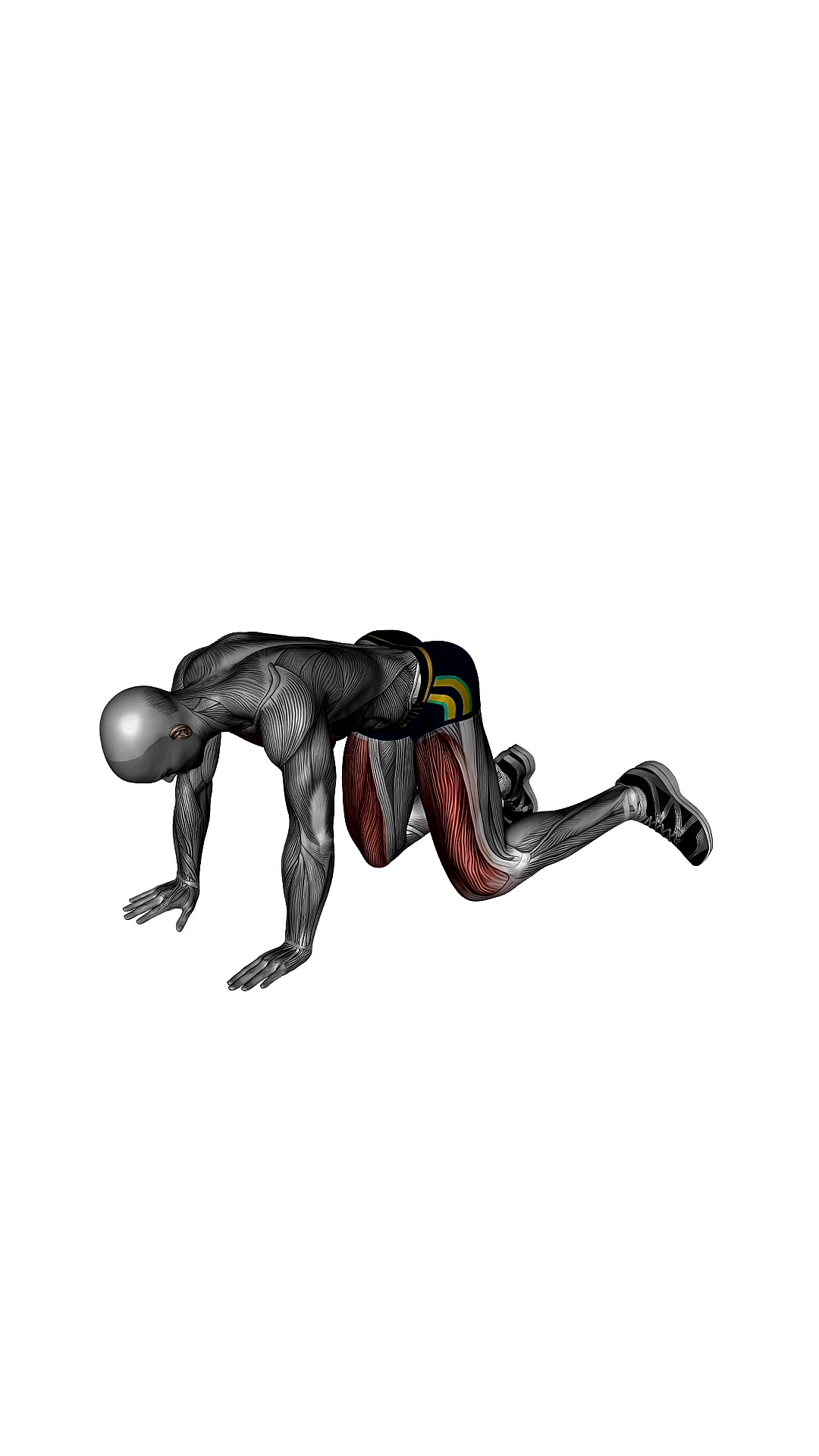 Fire Hydrant Circle Bodyweight