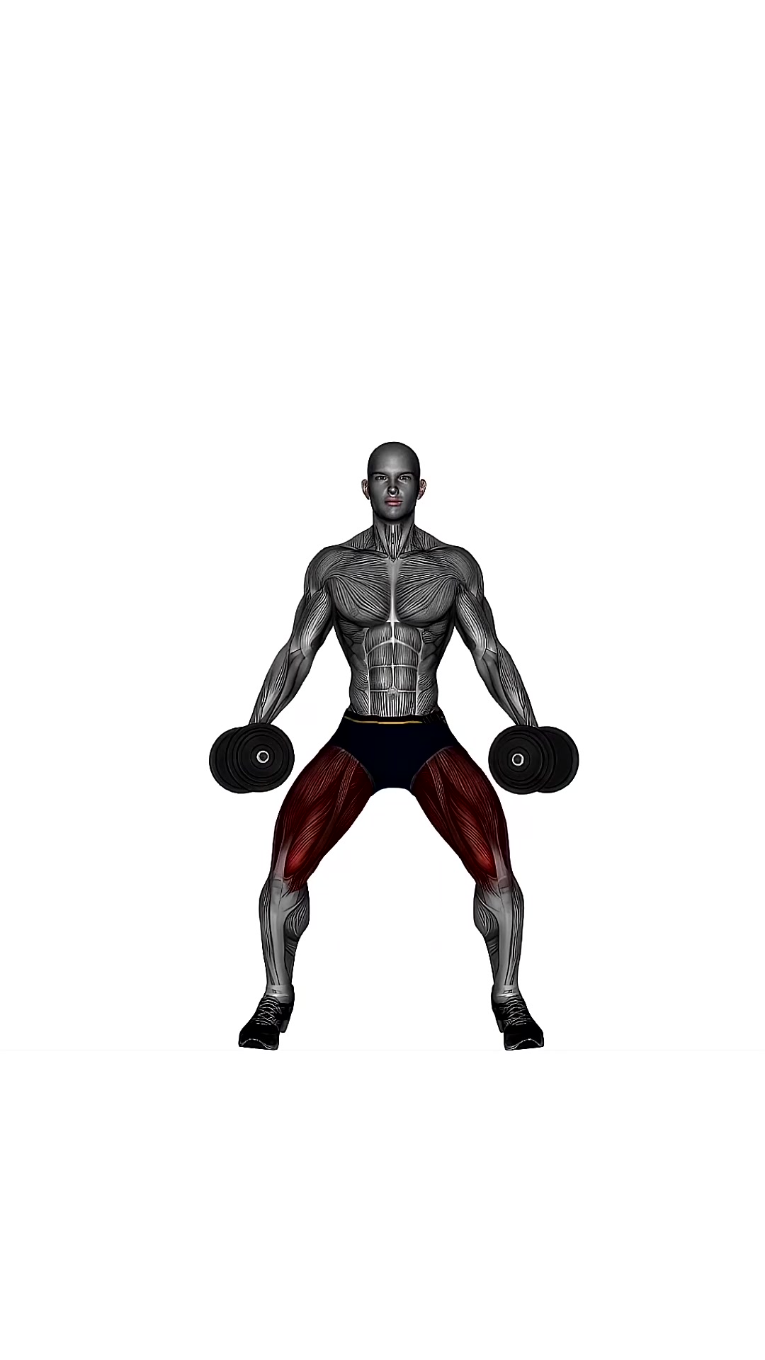 Front Squats Dumbbell Low