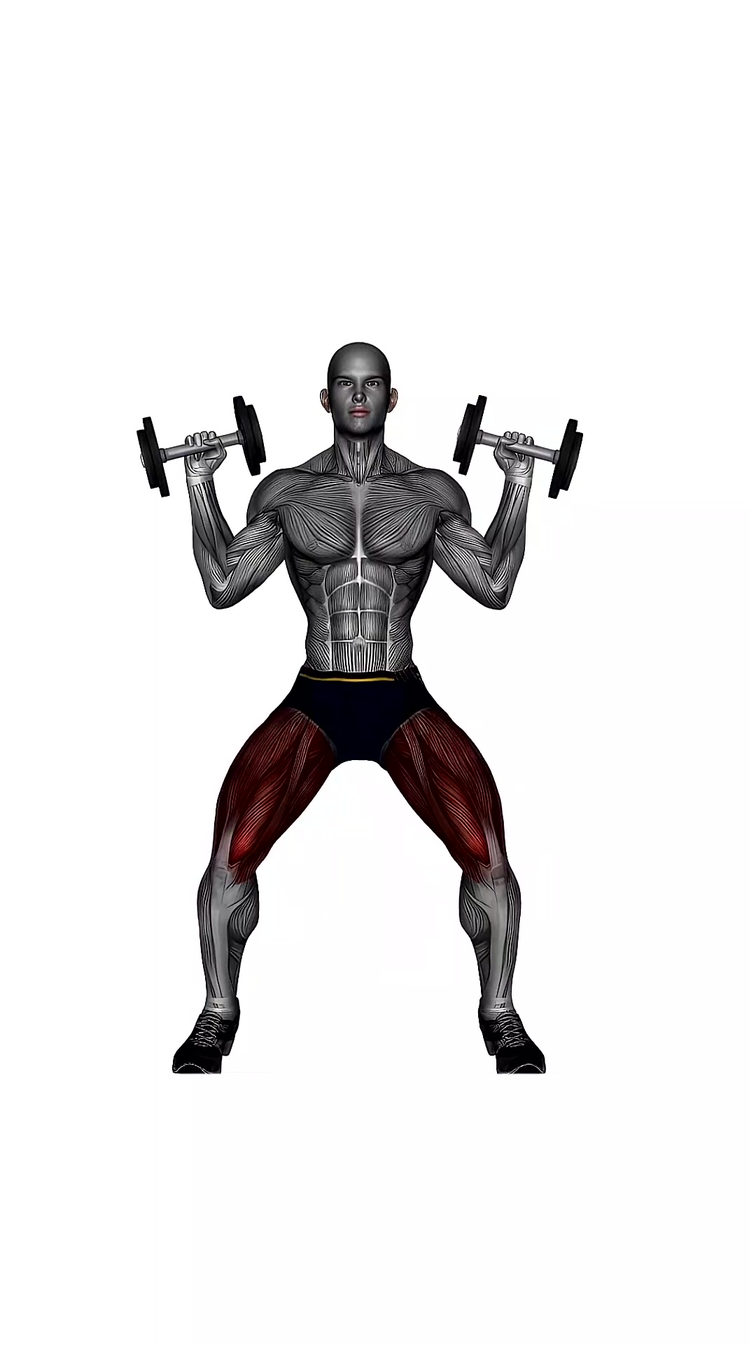 Front Squats Dumbbell Over Shoulders