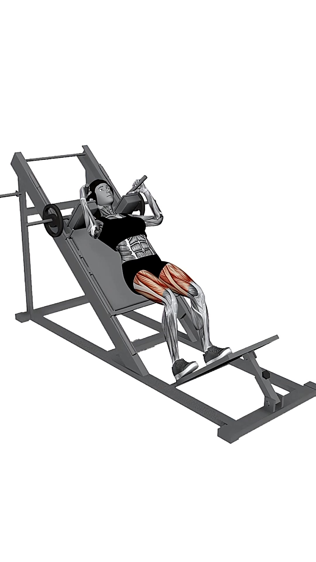 Hack Squat Machine