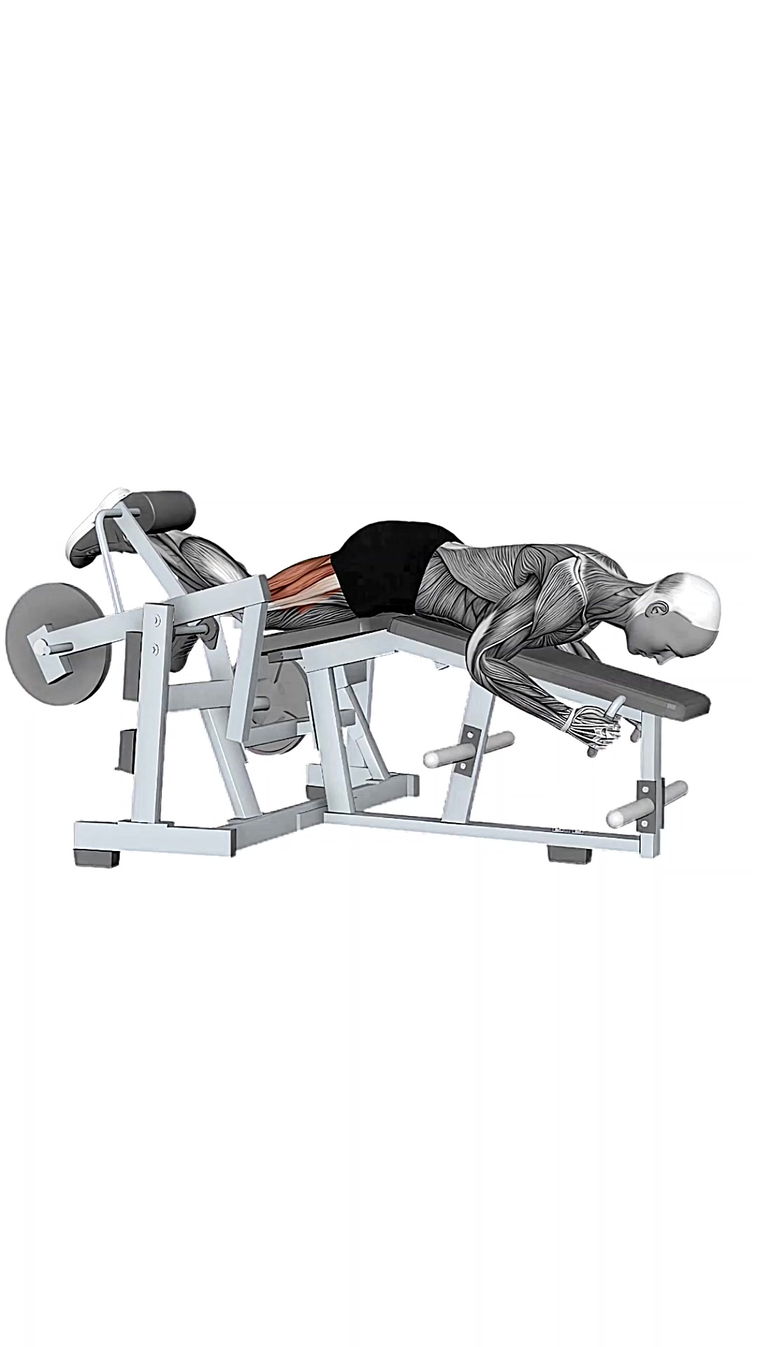 Hammer Strength Iso-lateral Leg Curl Alternate Legs