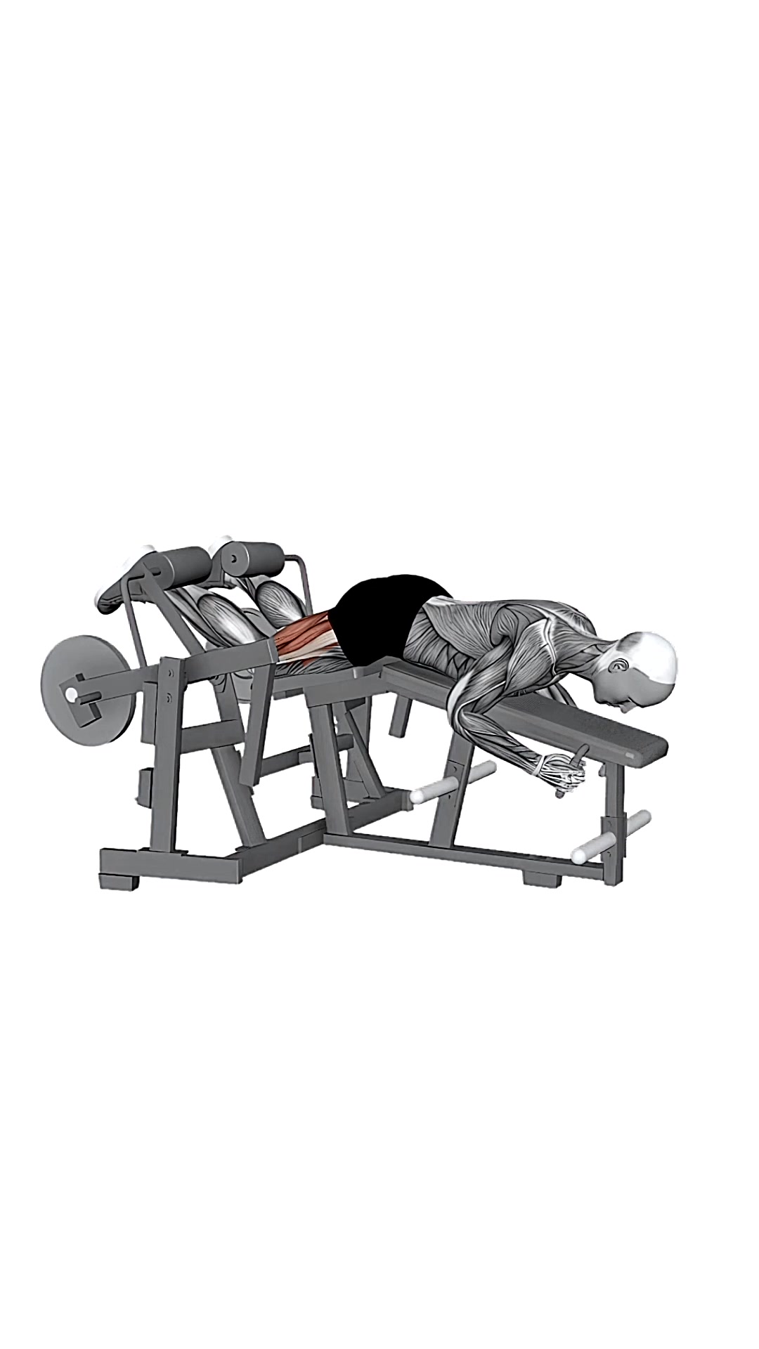 Hammer Strength Iso-lateral Leg Curl Both Leg