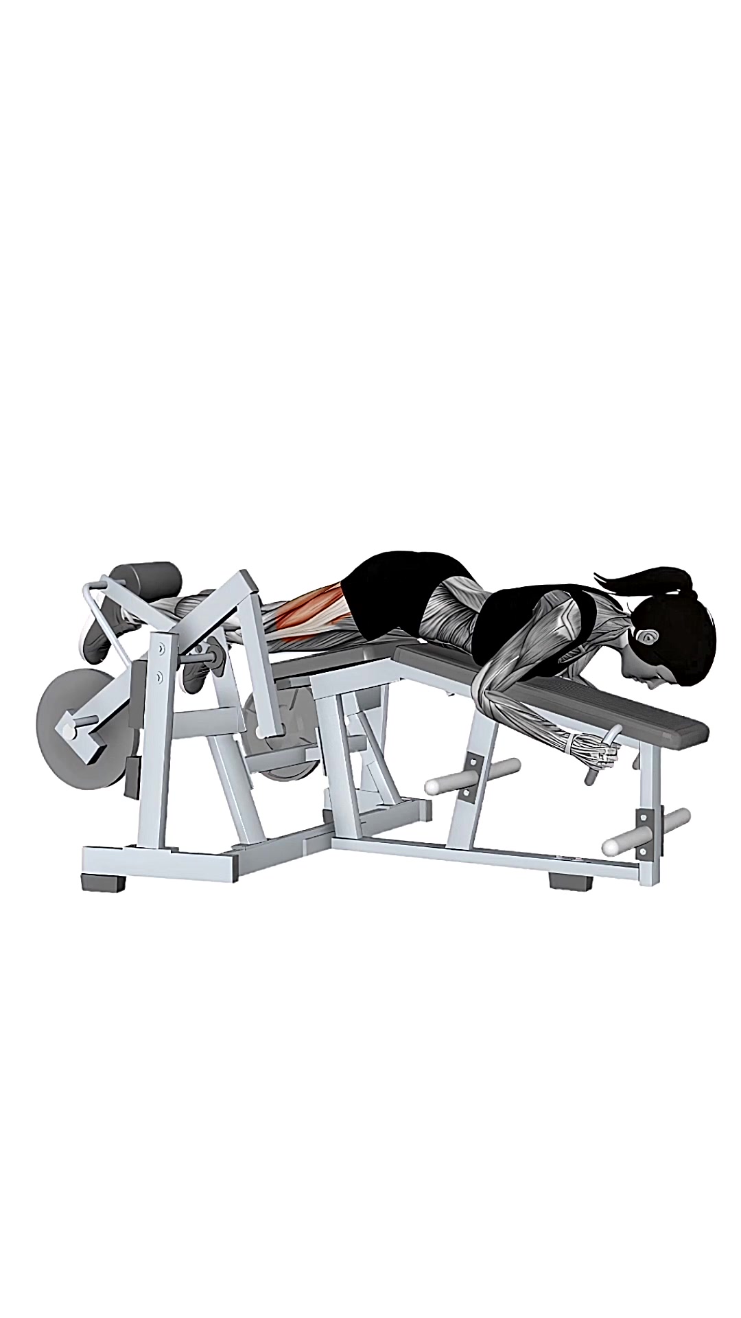 Hammer Strength Iso-lateral Leg Curl Single Leg