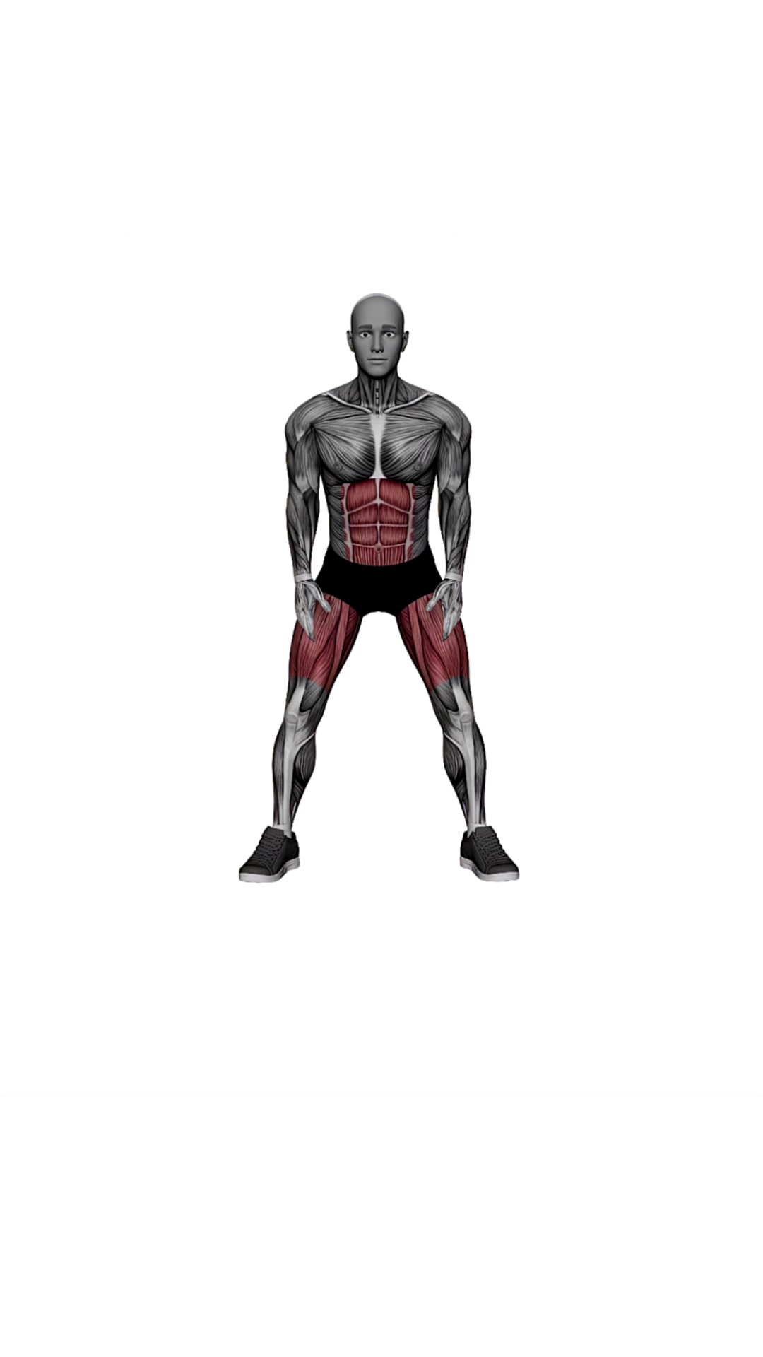 In And Out Squats