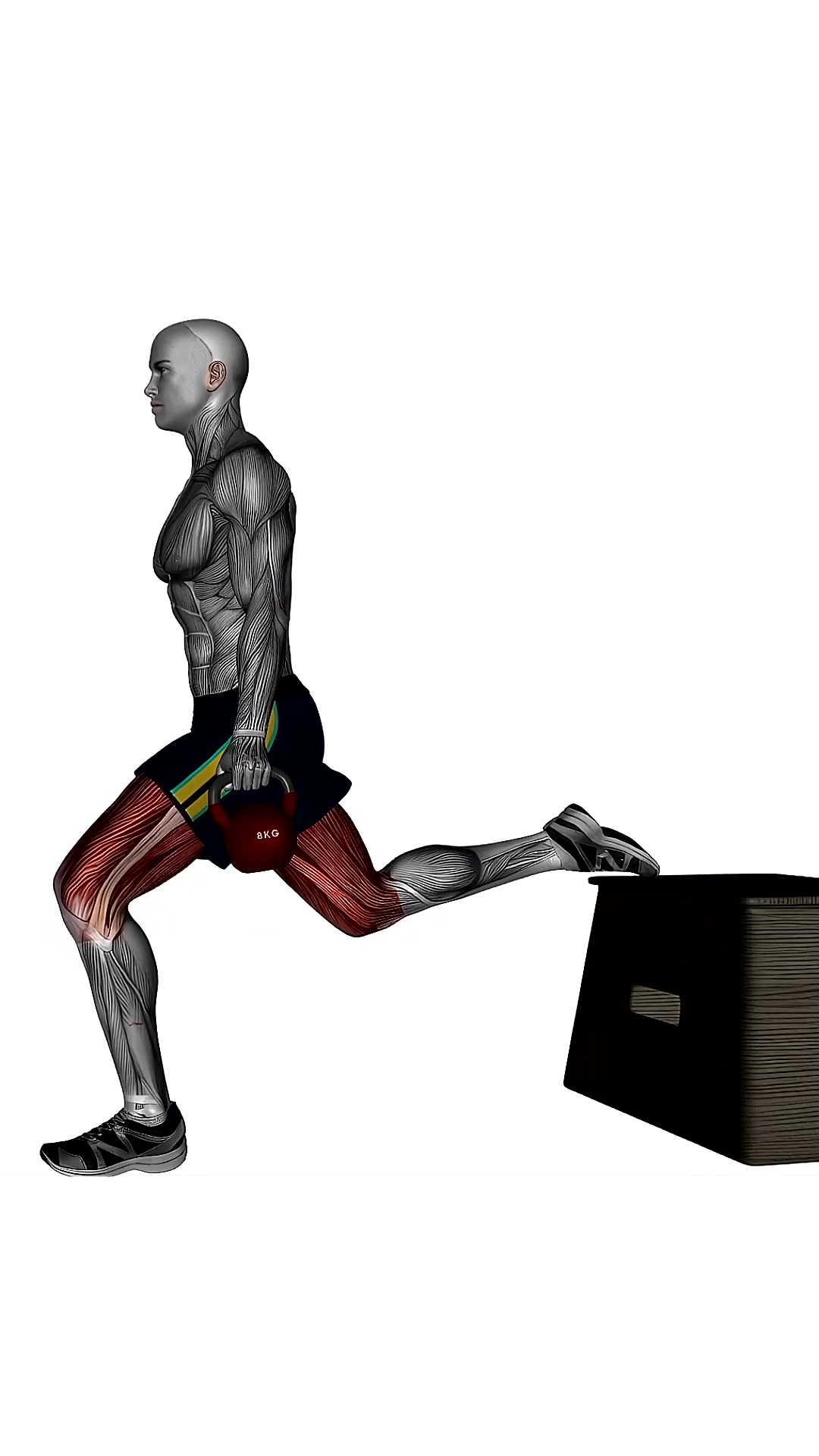 Kettlebell Bulgarian Split Squat Right Side View