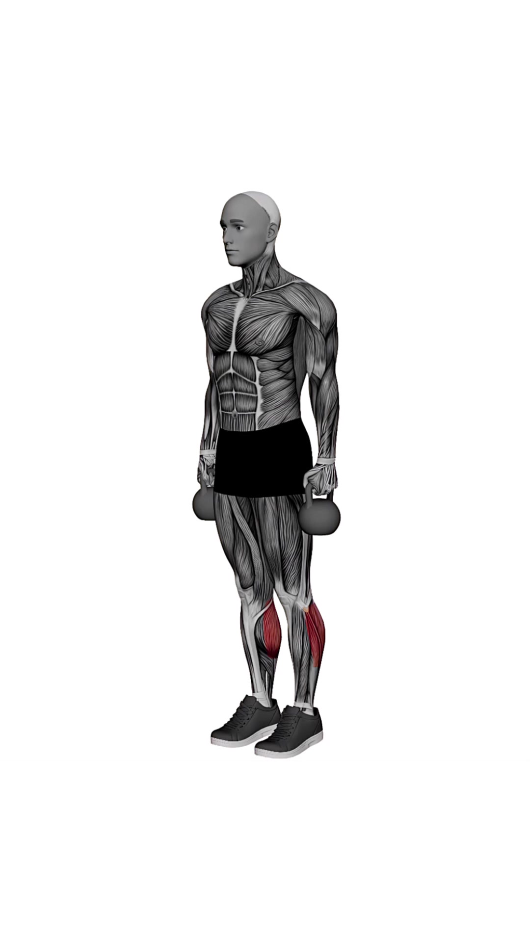 Kettlebell Calf Raise