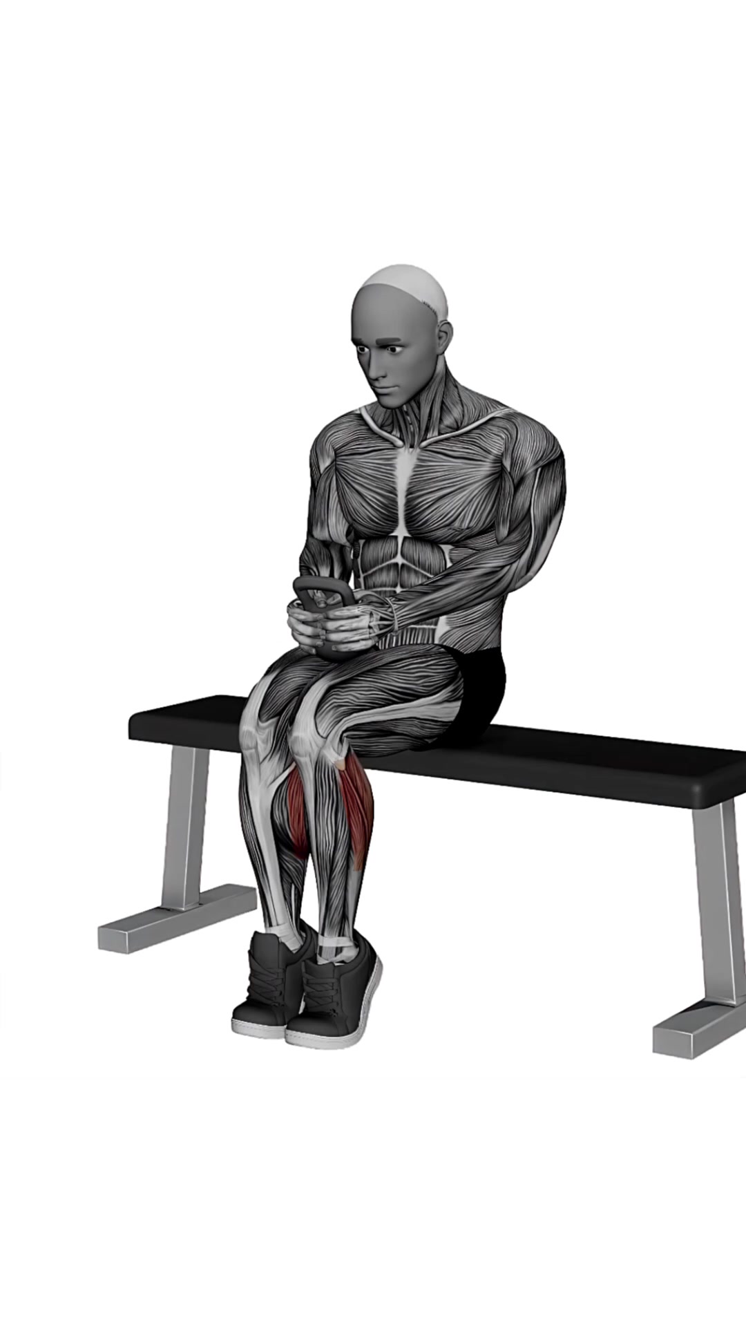 Kettlebell Seated Calf Raise