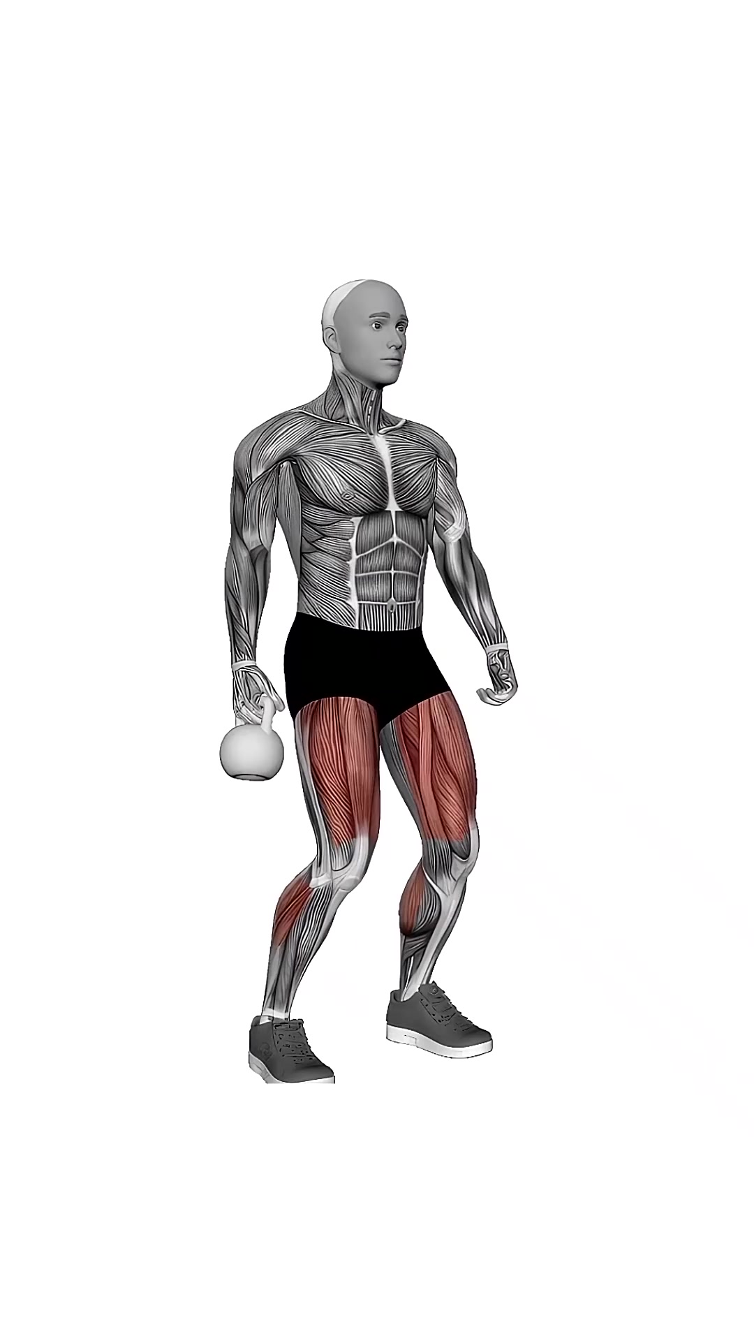 Kettlebell Suitcase Squat