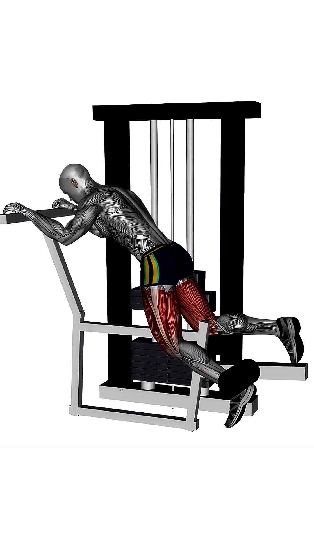 Kneeling Leg Curl Machine