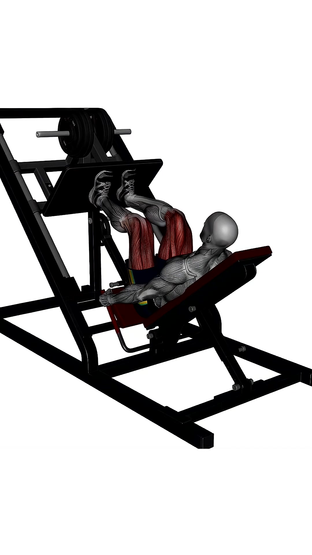 Leg Press Machine Close Stance