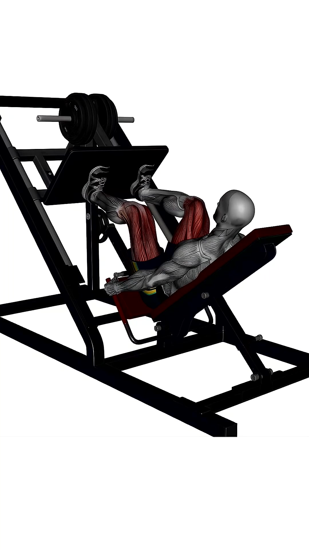 Leg Press Machine Normal Stance