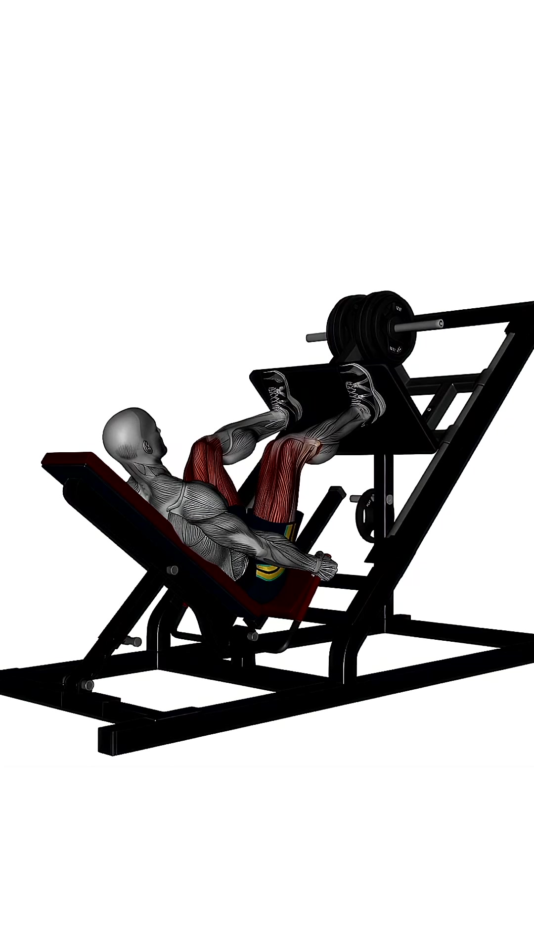 Leg Press Wide High Stance Behind View