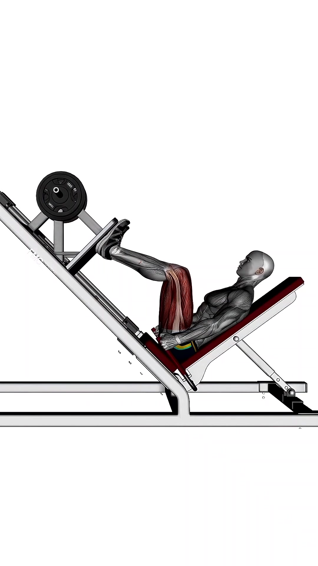 Leg Press Wide High Stance