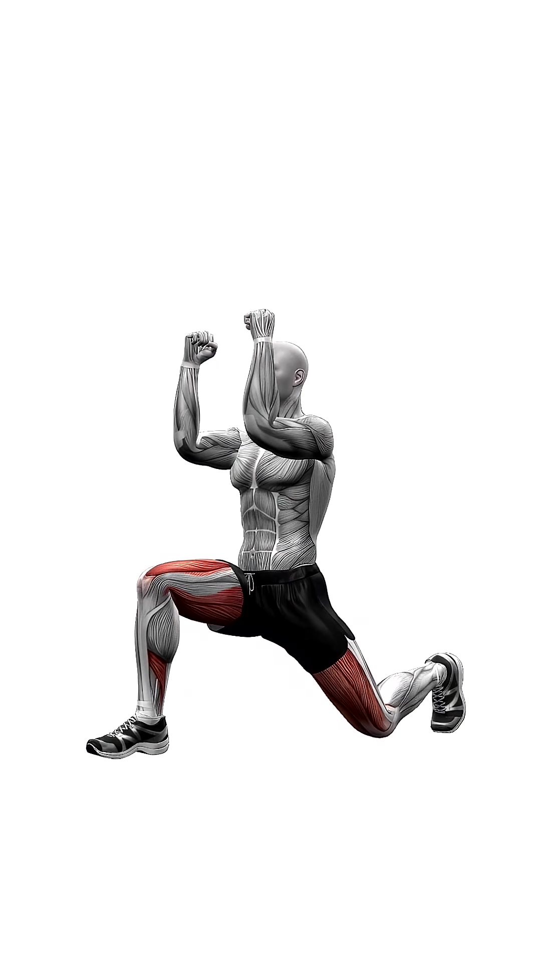Lunge Pulses Bodyweight
