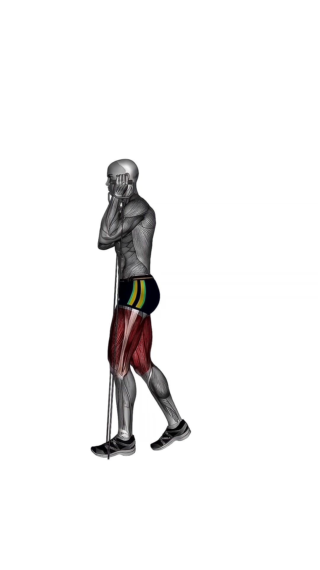 Lunge Reverse With Resistance Band