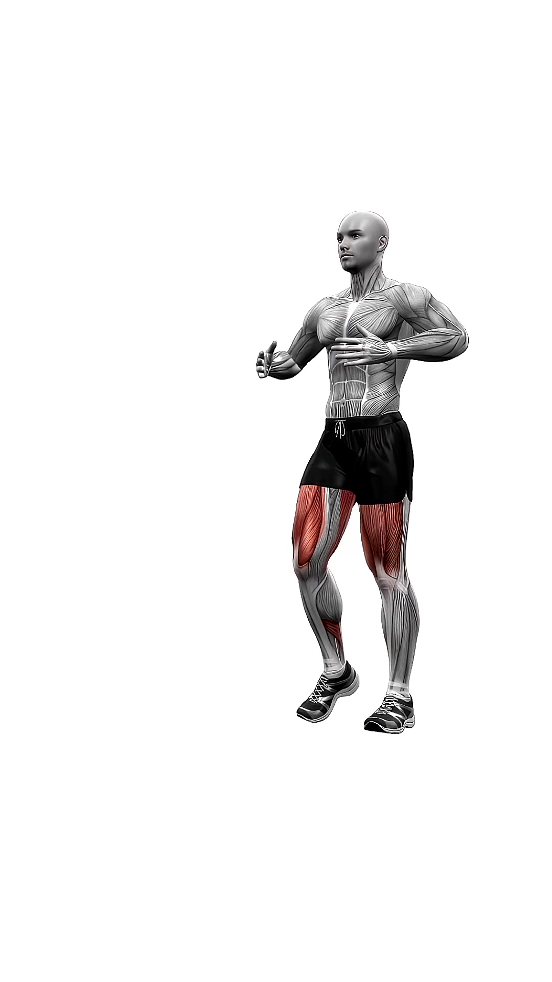 Lunge Rotation Left And Right Bodyweight