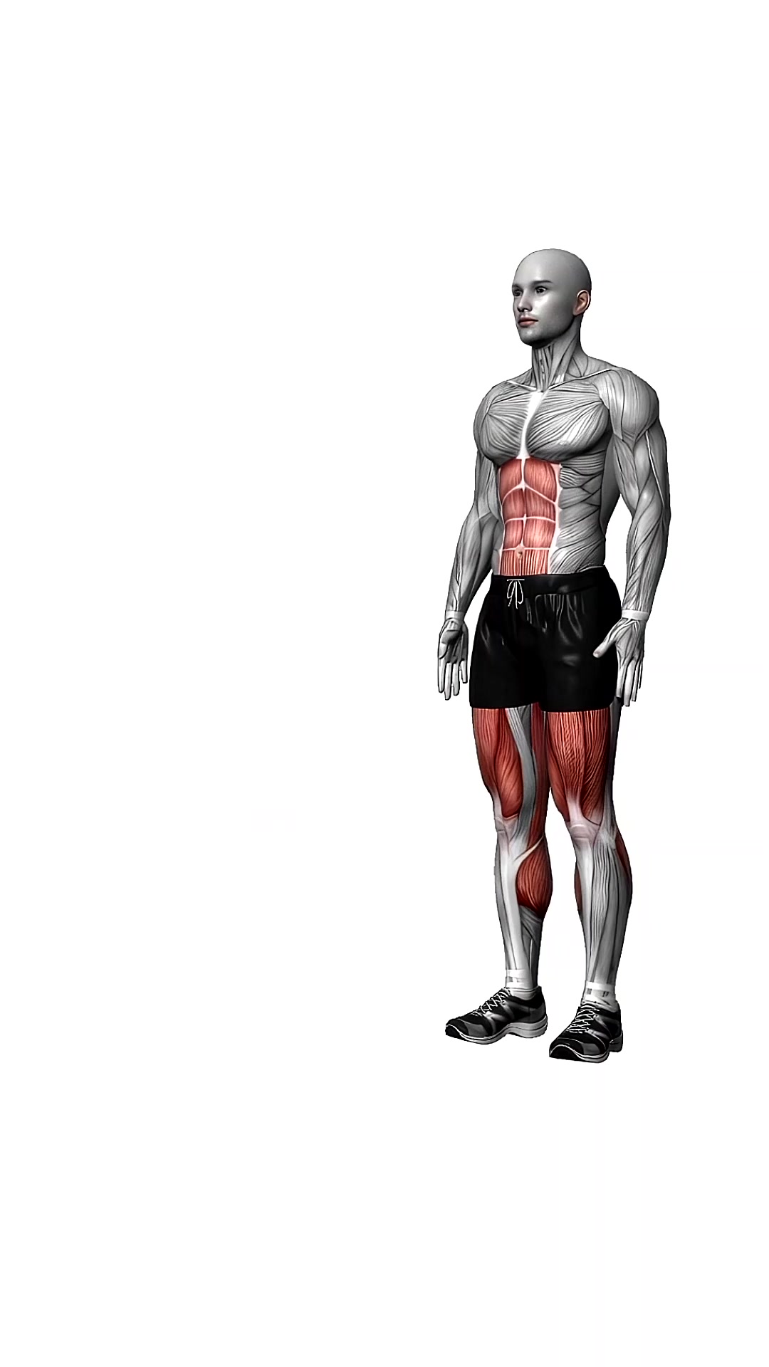 Lunges Alternate Leg With Pause Bodyweight
