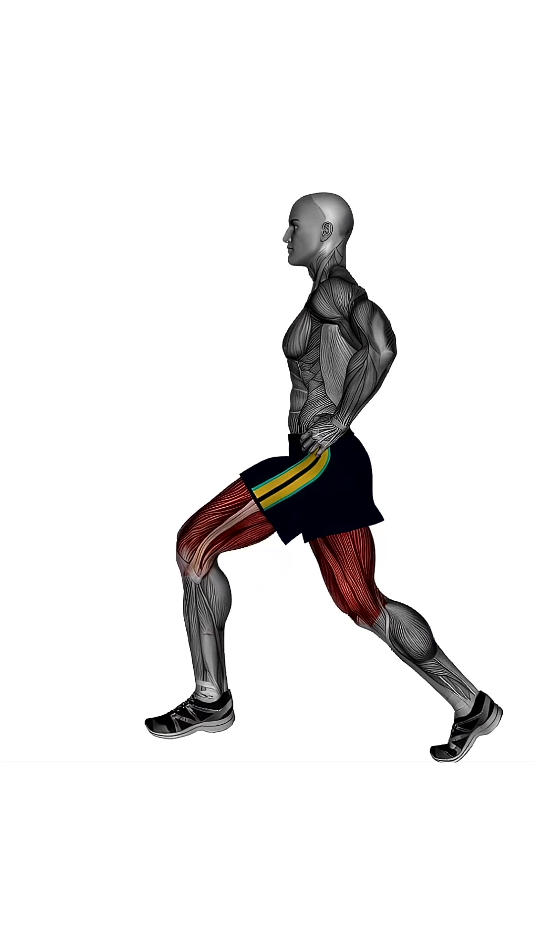 Lunges Same Leg Side View Bodyweight