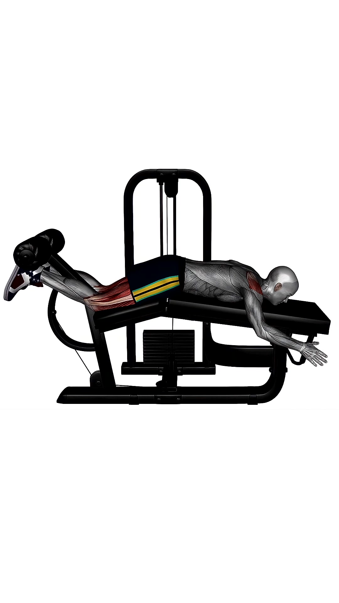 Lying Leg Curl Machine