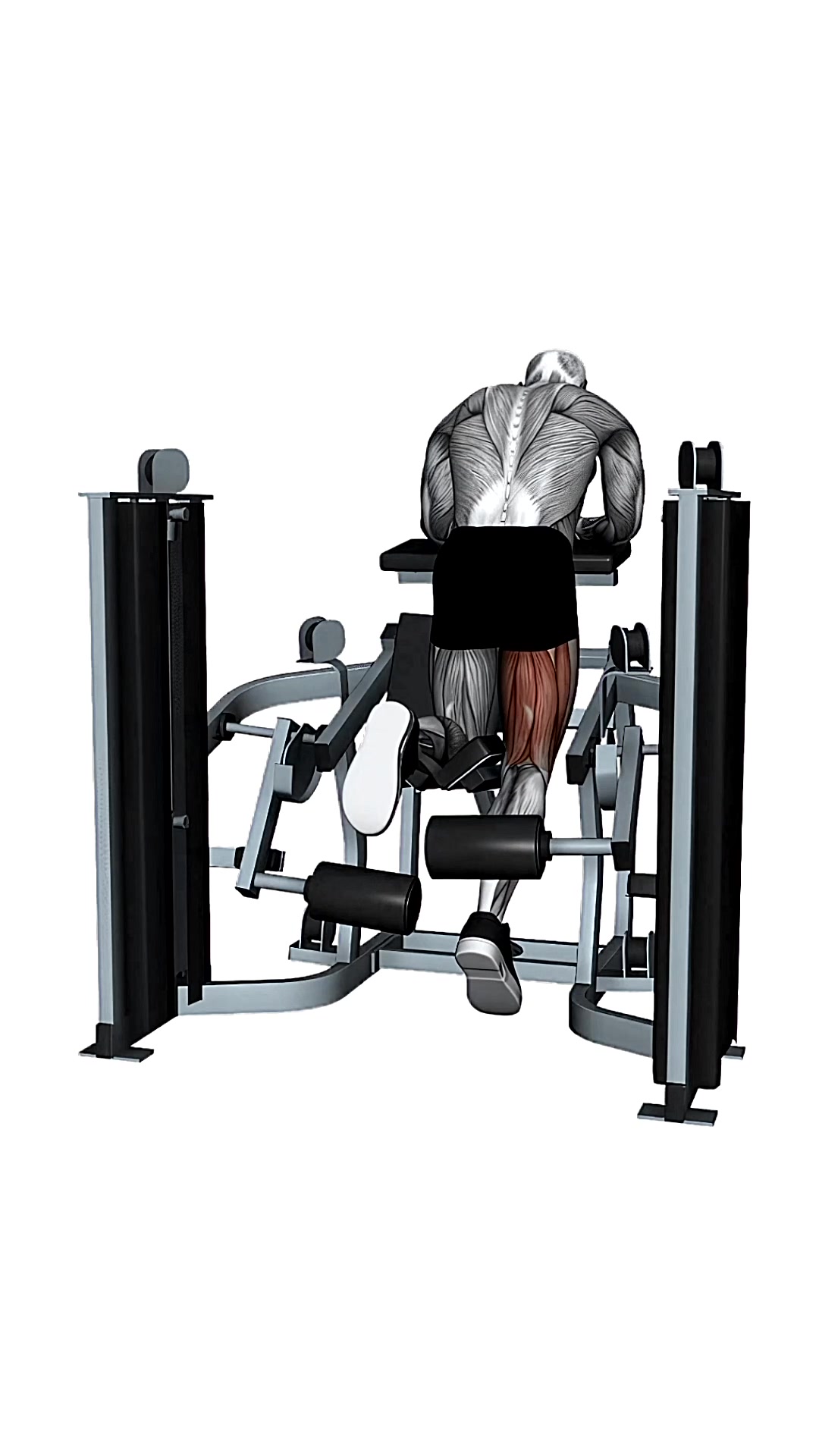 Mts Iso-lateral Kneeling Leg Curl