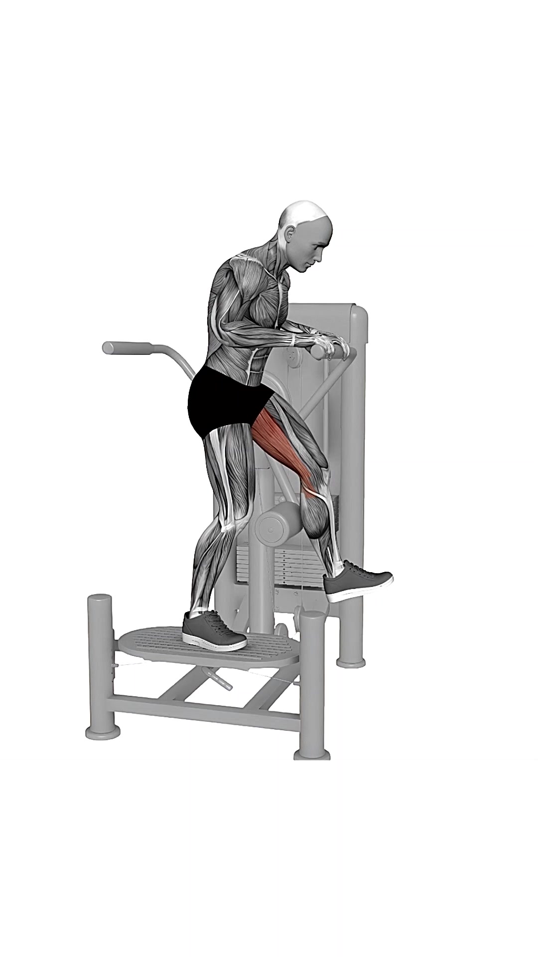 Multi Hip Glute Extension